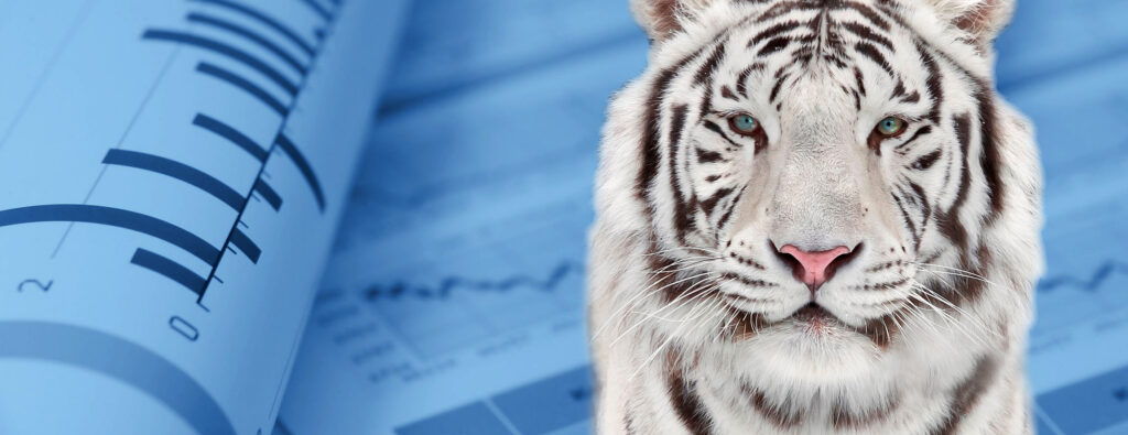 hero section homepage