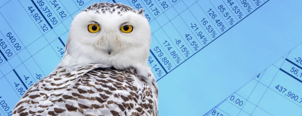 hero section management consultancy